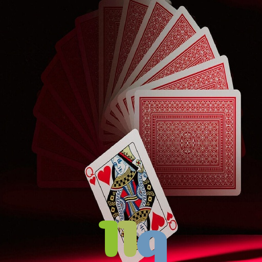 11q: Aposta Facilmente com Funcionalidades Completas no Aplicativo Móvel